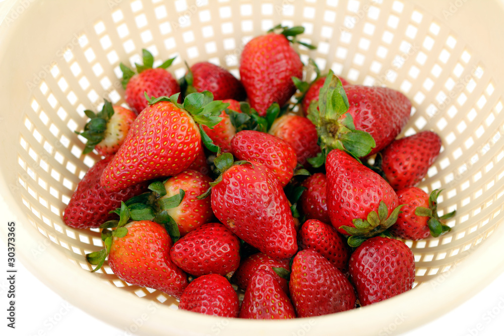 Red Berries Red Berries