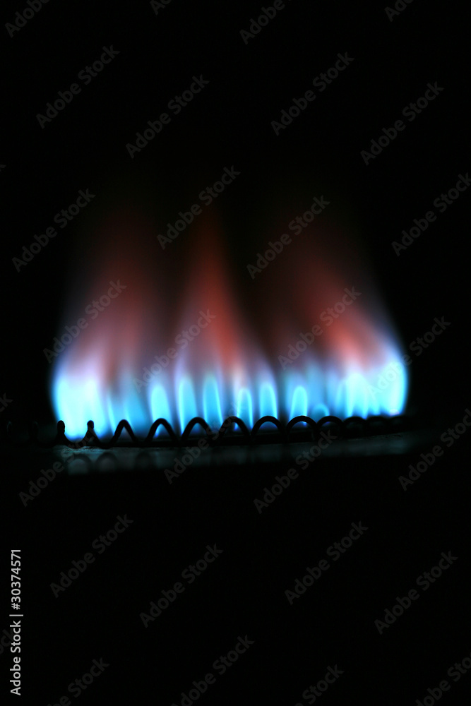 Fuel and Power Generation Fuel and Power Generation