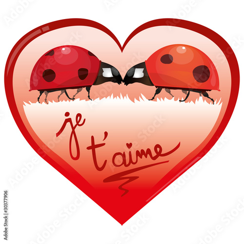 Coeur Je t'aime et coccinelles, vecteur