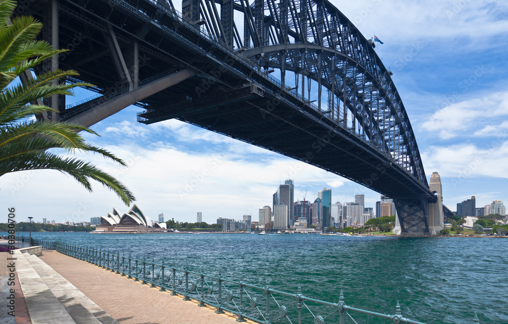 Fototapeta premium Sydney Harbour Bridge