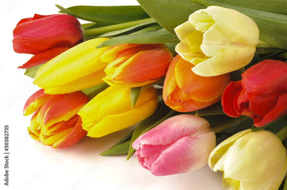 Obraz premium Tulpen Blumenstrauß Ostern