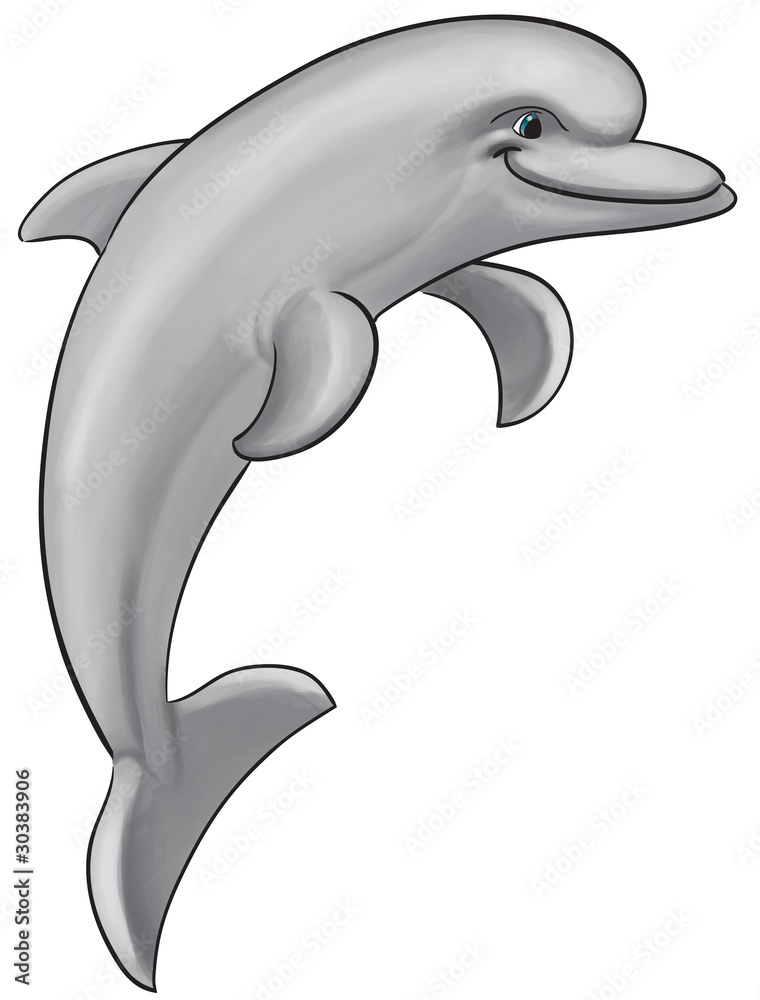 Obraz premium Gray dolphin