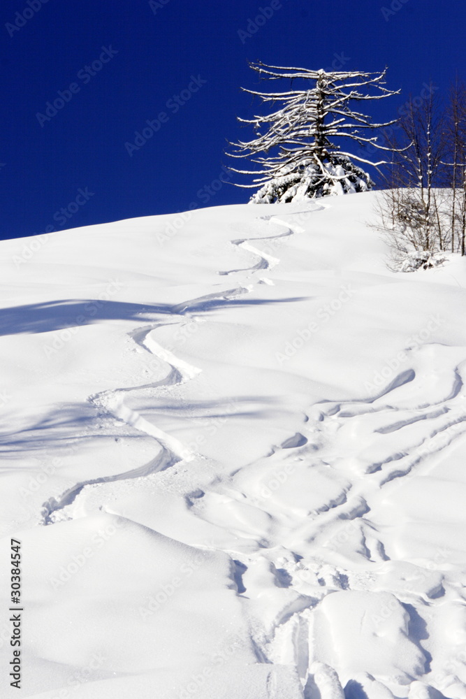 custom made wallpaper toronto digitalSkispur