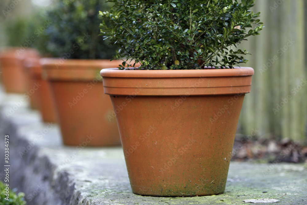 Blumentöpfe auf einer Gartenmauer Blumentöpfe auf einer Gartenmauer