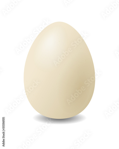 Hen's egg.