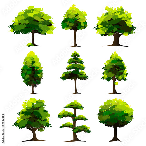 Set of Tree