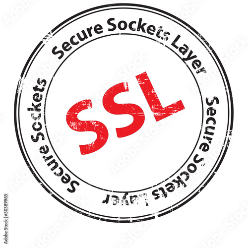 Online computer security ssl illustration