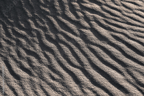 Sand Waves Black and White