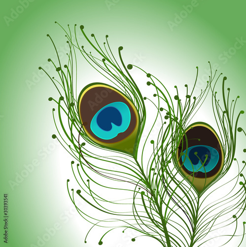 gradient and peacocks feathers