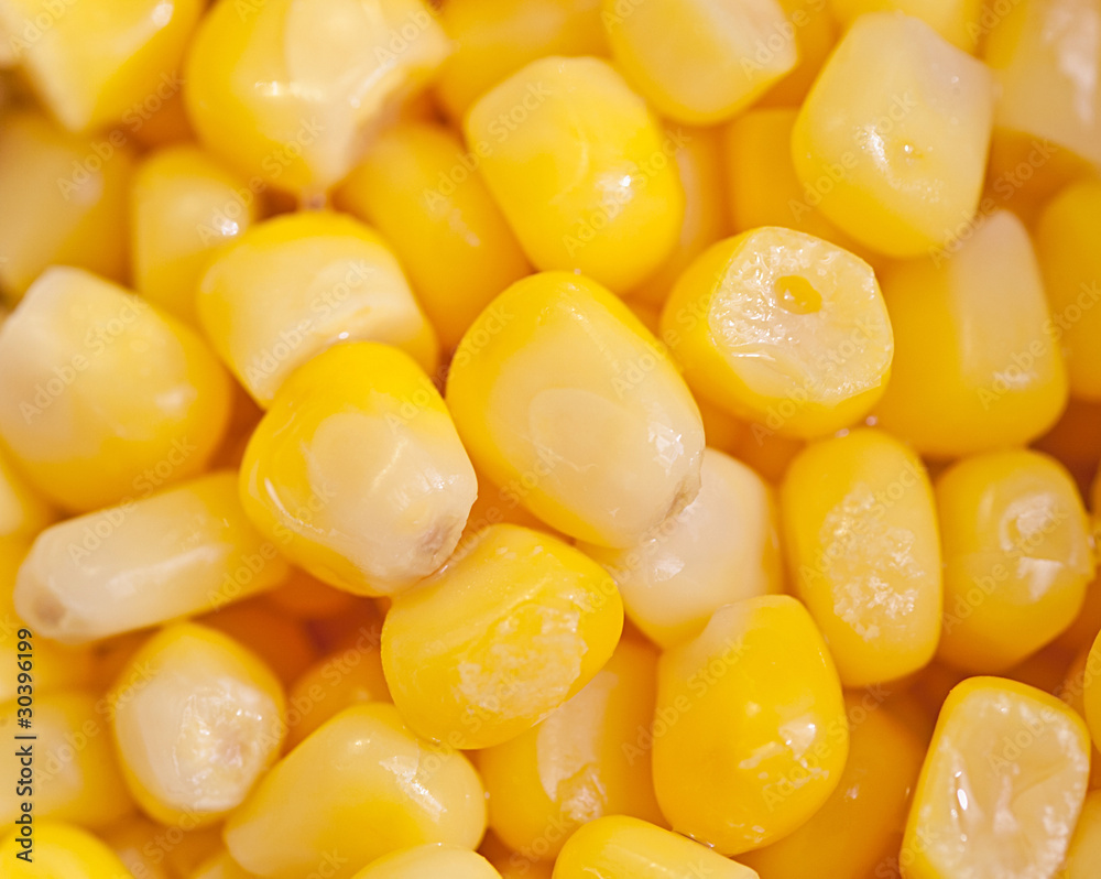 macro shot of corn macro shot of corn