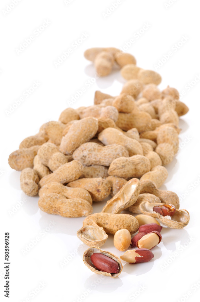 roasted peanuts in shell on white background roasted peanuts in shell on white background