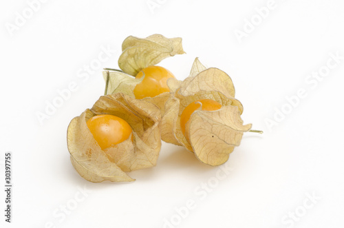 ground-cherry
