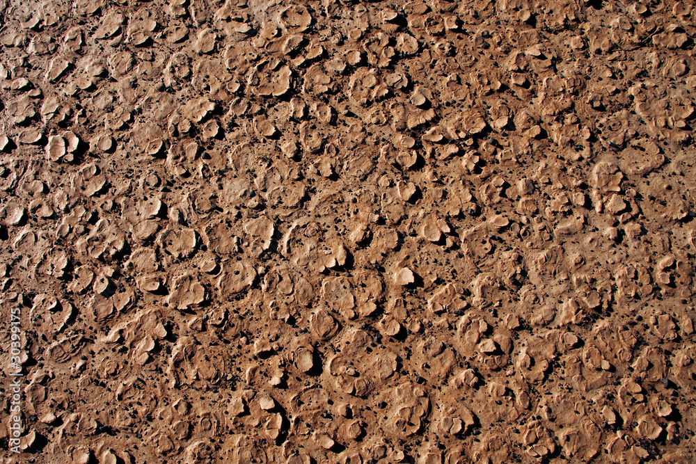 dry cracked dirt surface