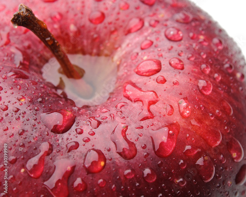 Macro shot of red apple