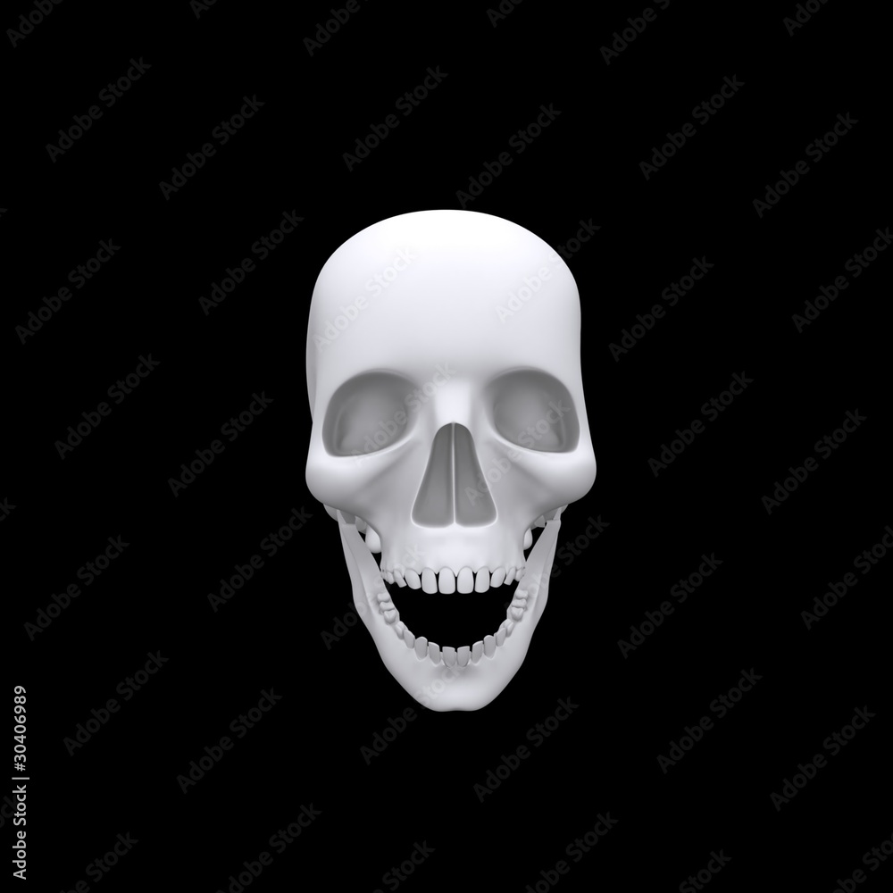 Realistic Halloween Skull