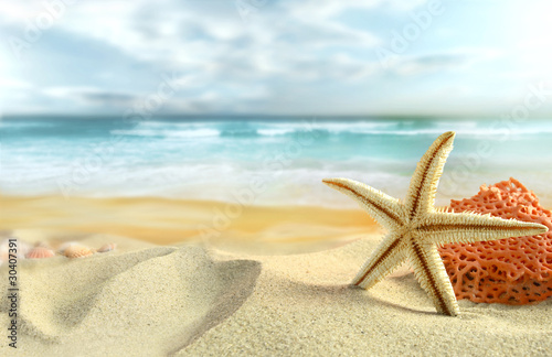Fototapeta Naklejka Na Ścianę i Meble -  Starfish on the Beach