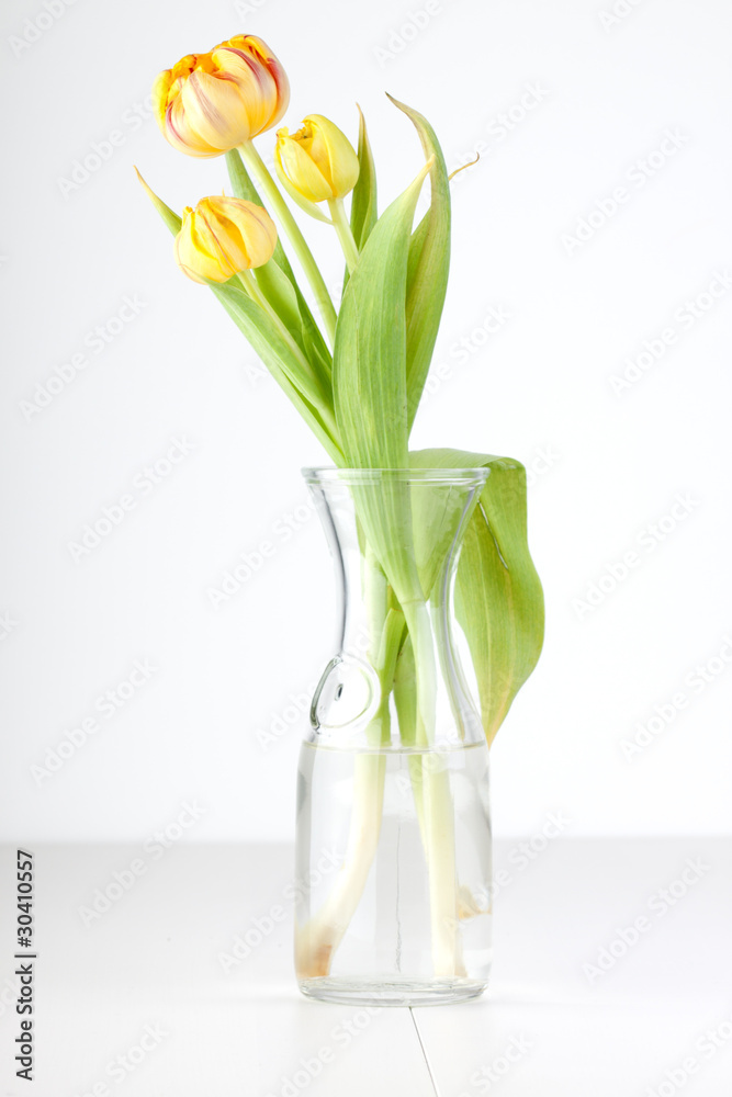 Yellow tulips