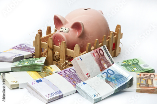 Ich will das Geld.-Sparschwein photo