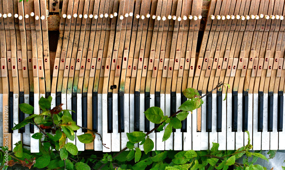 old and broken piano in green foliage old and broken piano in green foliage