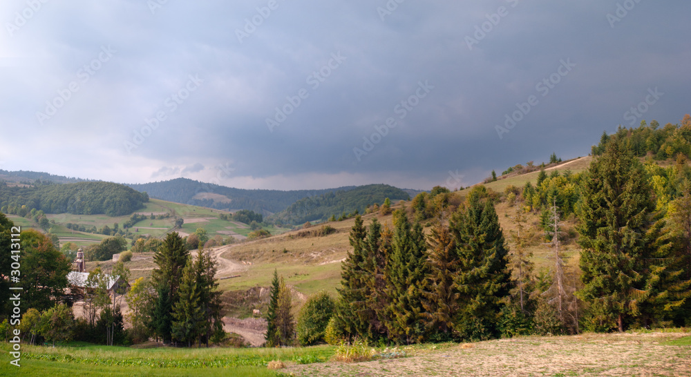 Mountains landscape with pine forest