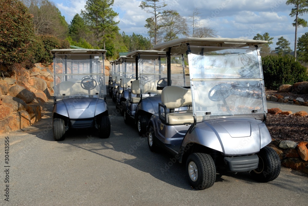 electric golf carts for rent