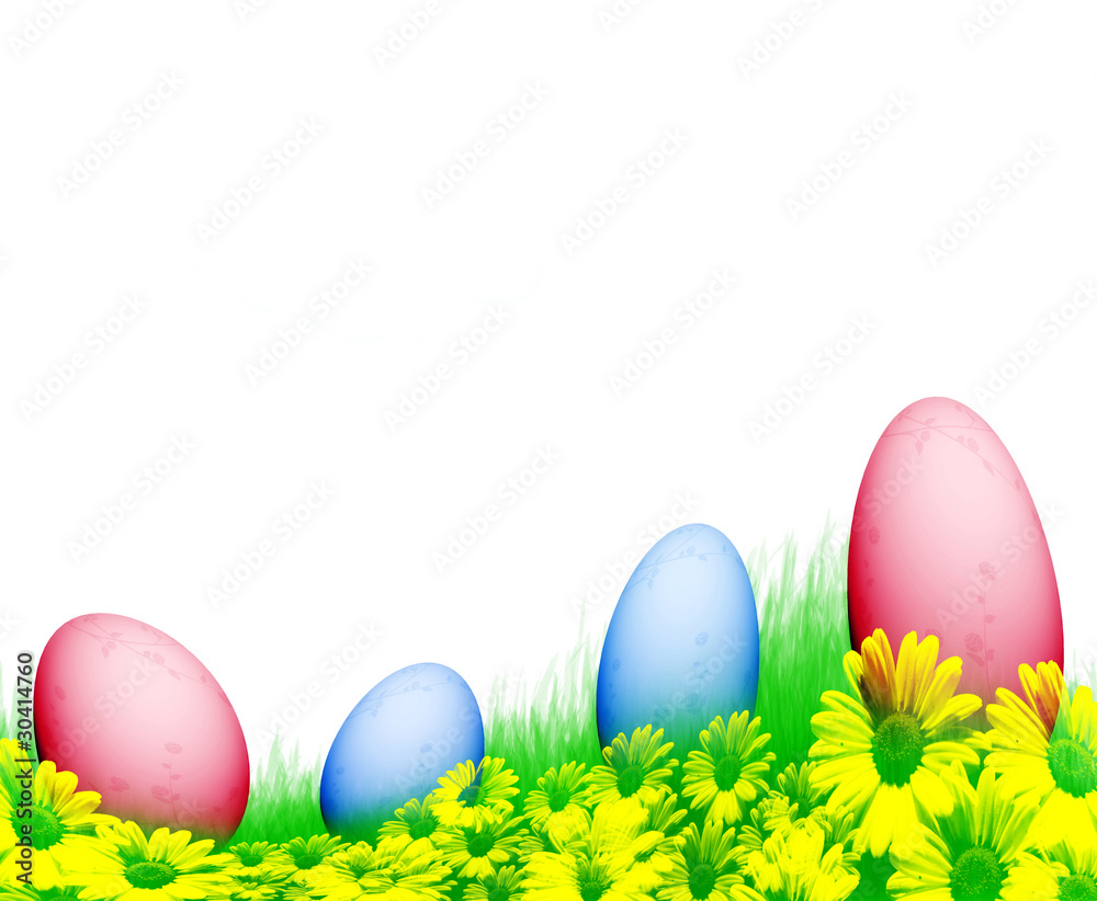 Easter eggs  on green grass an white isolated background .