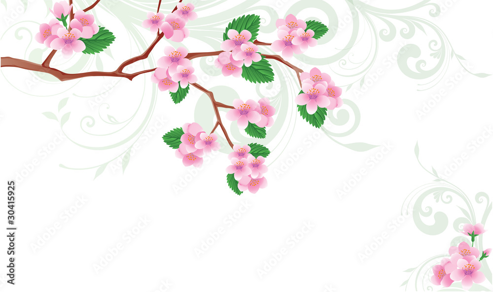 Spring card Flowered sakura. vector illustration