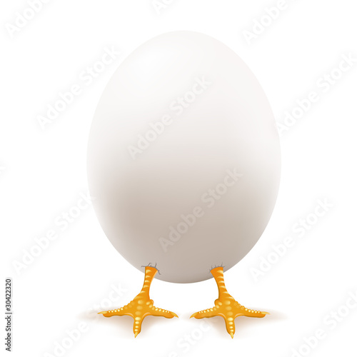White Egg