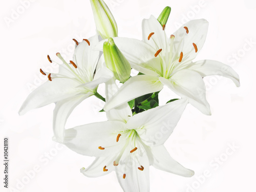 Fototapeta Naklejka Na Ścianę i Meble -  bouquet of white lilies