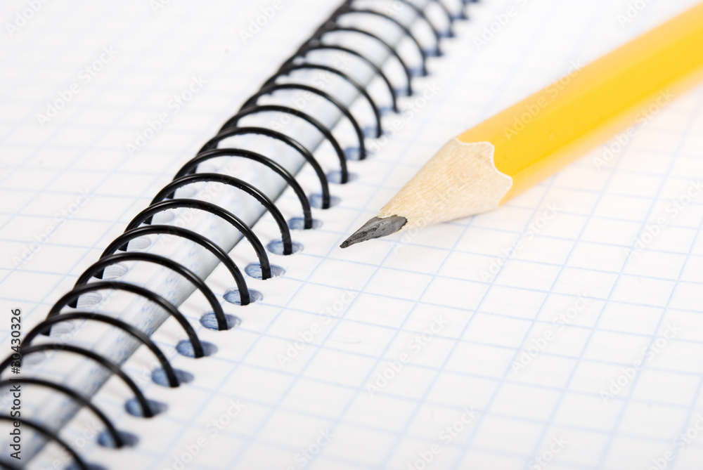 A close up of an answer sheet for a test with a pencil A close up of an answer sheet for a test with a pencil