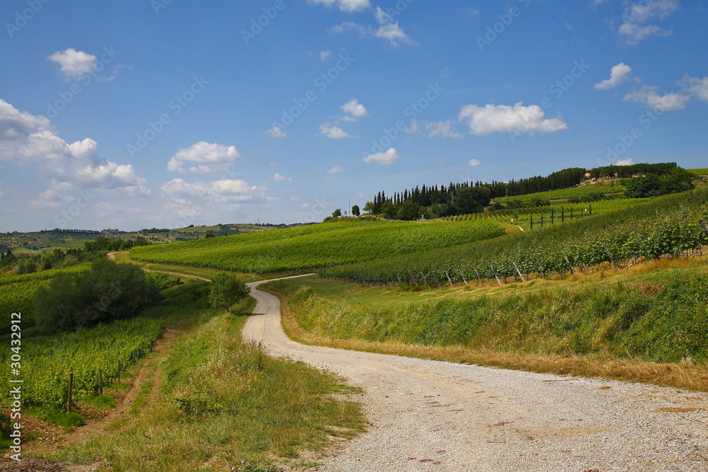 Chianti, paesaggio collinare e vigneti Chianti, paesaggio collinare e vigneti