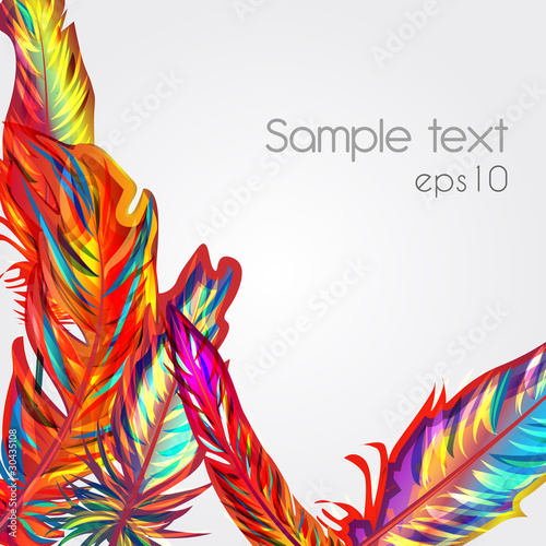 Background with feather