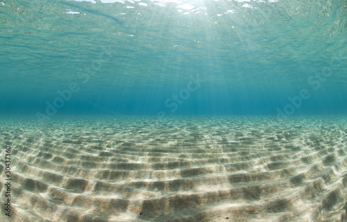 Ripples of sunlight reflected on the sandy ocean floor.