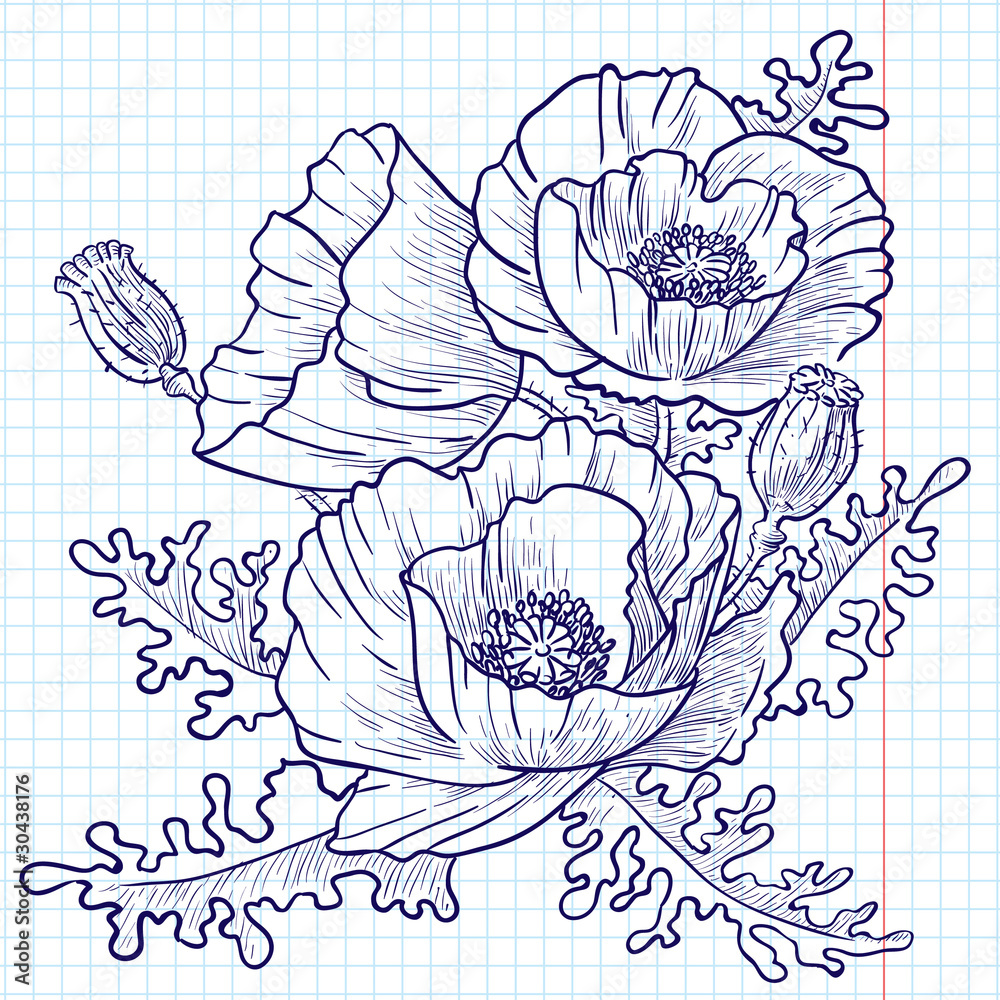 Fototapeta premium Poppies