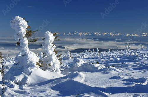 zimowy widok na Tatry 9