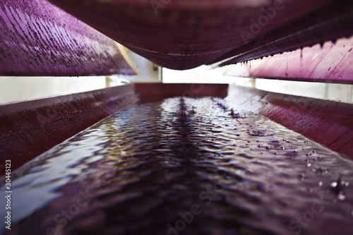 Inside a wine press free run juice from crushed red grapes photo