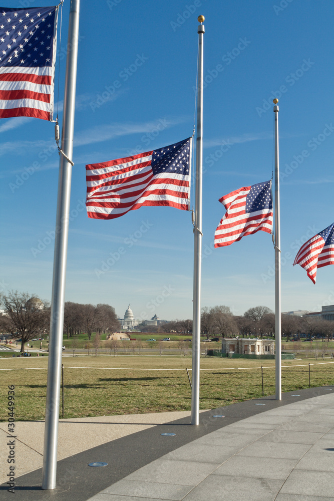 Row American Flags Flying Half Mast Washington DC Stock Photo Adobe Stock