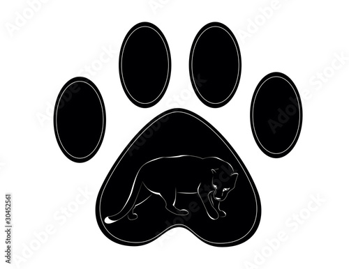 panther