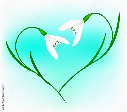 Snowdrop in the form of heart on a blue background