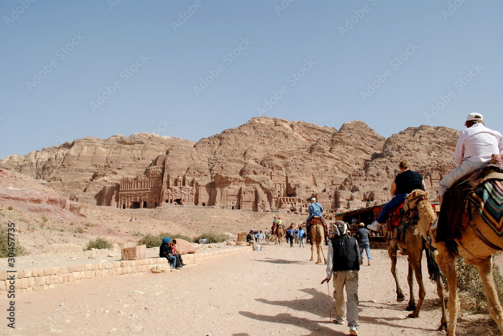 Camels in Petra, Jordan desert