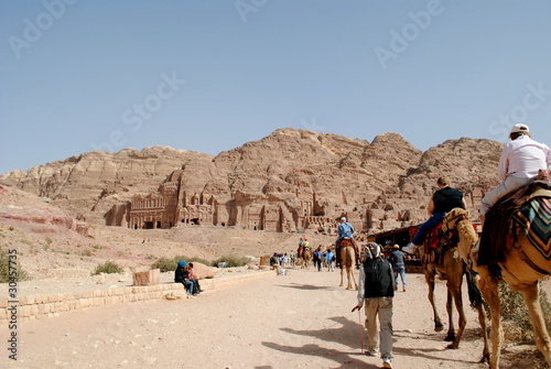 Camels in Petra  Jordan desert