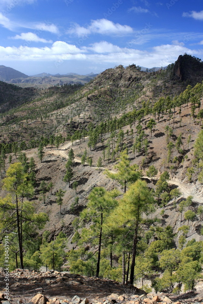 footpath on volcanic slopes on Gran Canaria
