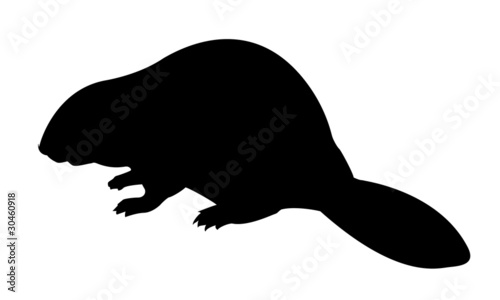 silhouette beaver on white background