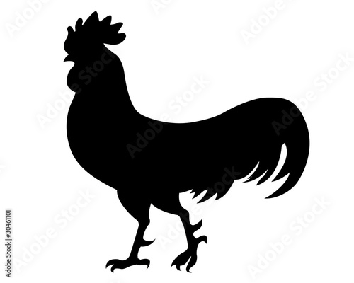 Canvas Print silhouette cock on white background