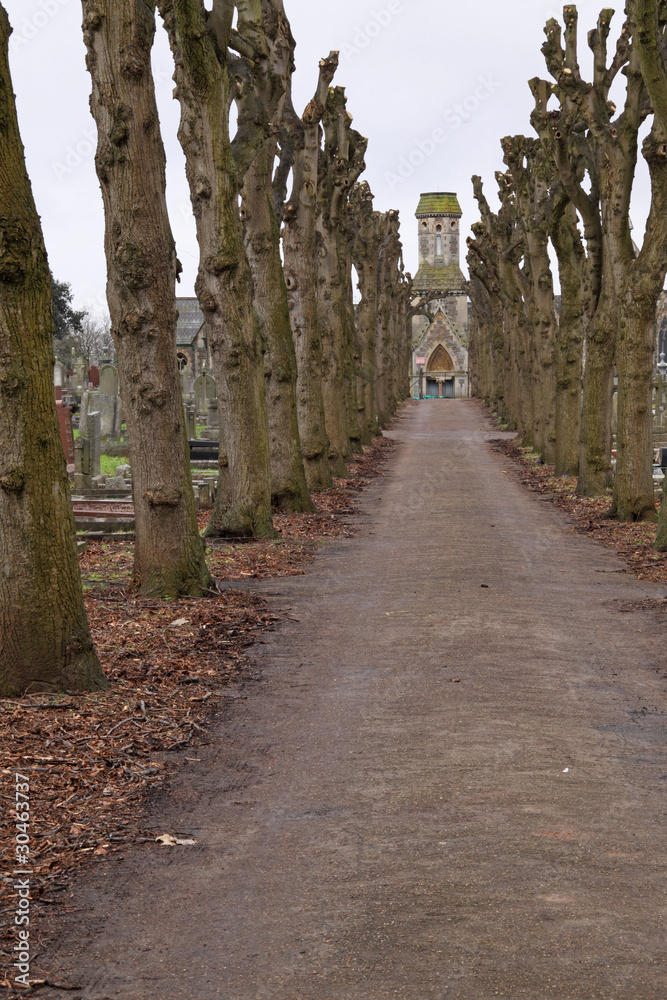 Lime tree avenue converging on a graveyard chapel