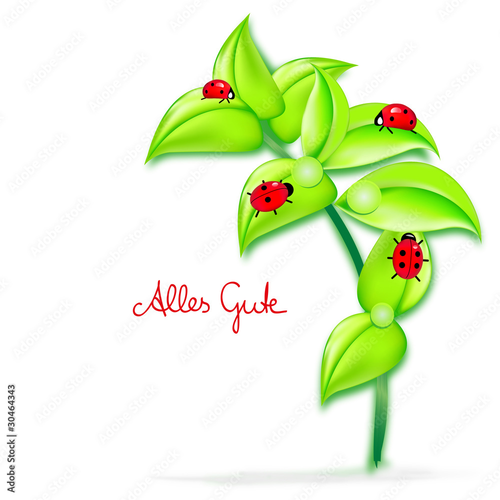 marienkäfer alles gute Adobe Stock