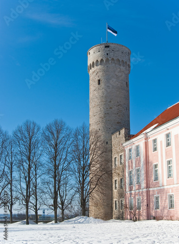 Wallpaper Mural Long (Pikk) Herman  tower in upper old city of Tallinn, Estonia Torontodigital.ca