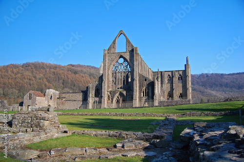 tintern abbey photo