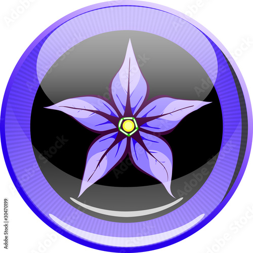 Bella Donna / Deadly nightshade