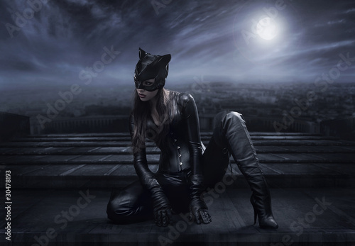 Catwoman sitting on the roof photo